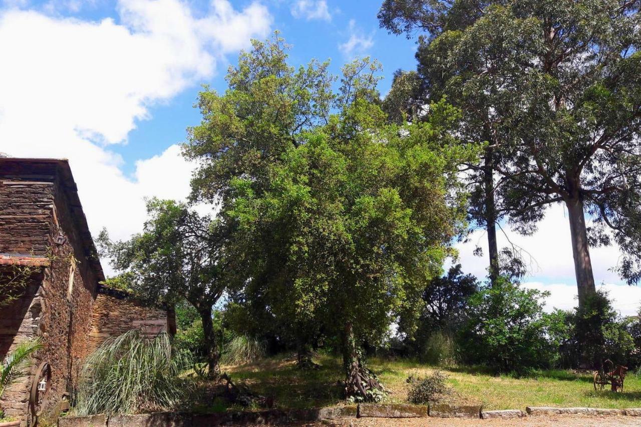 Porto Natura House Villa